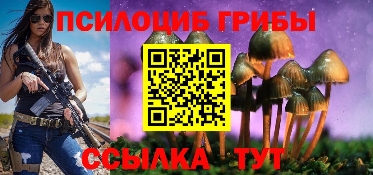 Псилоцибиновые грибы мухоморы Каменск-Шахтинский
